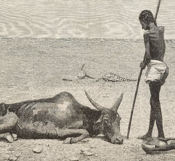 A Powerful El Niño Is Forming. If History Is a Guide, It…