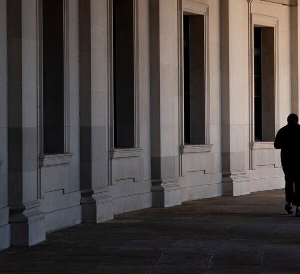 Former Judges Urge Inquiry Into Deal Trump Struck With I.R.S.