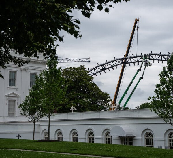 UFC Unveils Plans for White House Fight on Trump’s Birthday