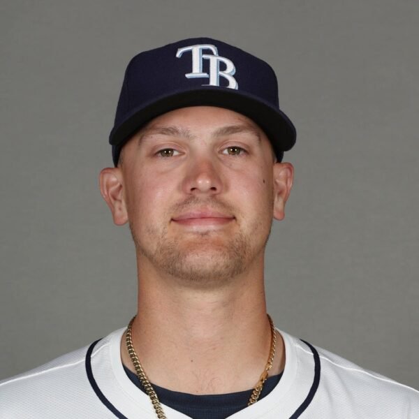 White Sox purchase LHP Joe Rock from Rays