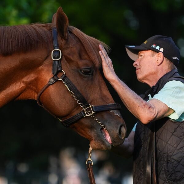 The Puma scratched from Kentucky Derby with leg subject