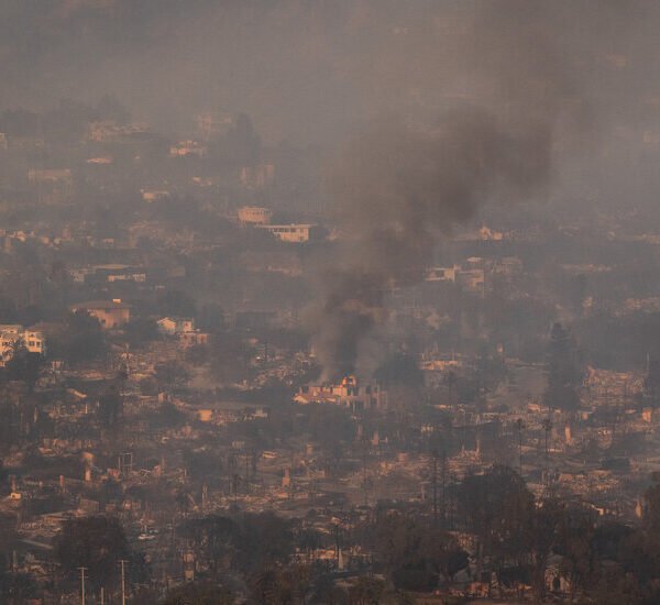 2025 Wildfires Were the Costliest Ever, Researchers Say