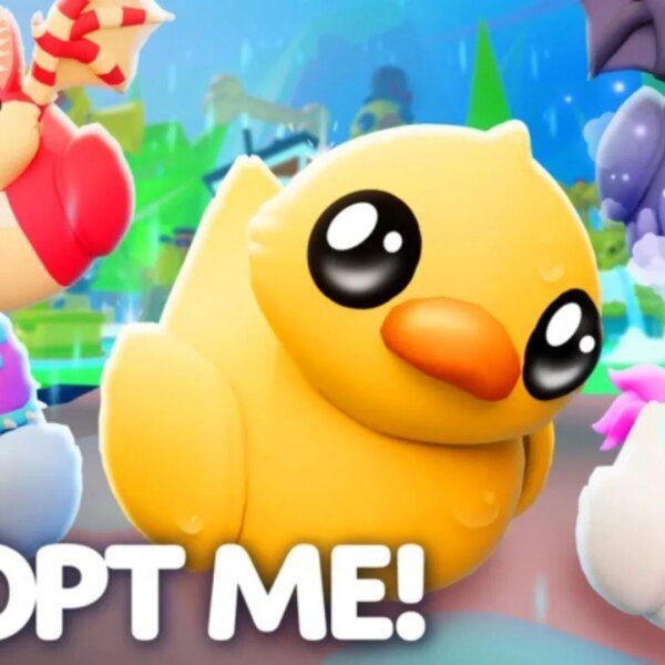 Adopt Me Stormy Ducky Drama replace patch notes