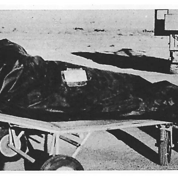 Pentagon begins releasing new information on UFOs, telling public to attract their&hellip;