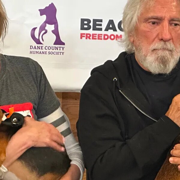 Debbie Gibson, Geezer Butler of Black Sabbath need you to undertake a&hellip;