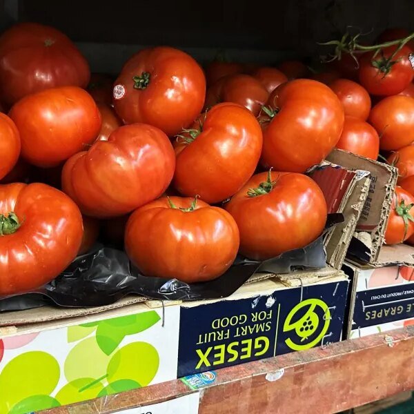 Tomatoes turn into the most recent image of the affordability disaster as…