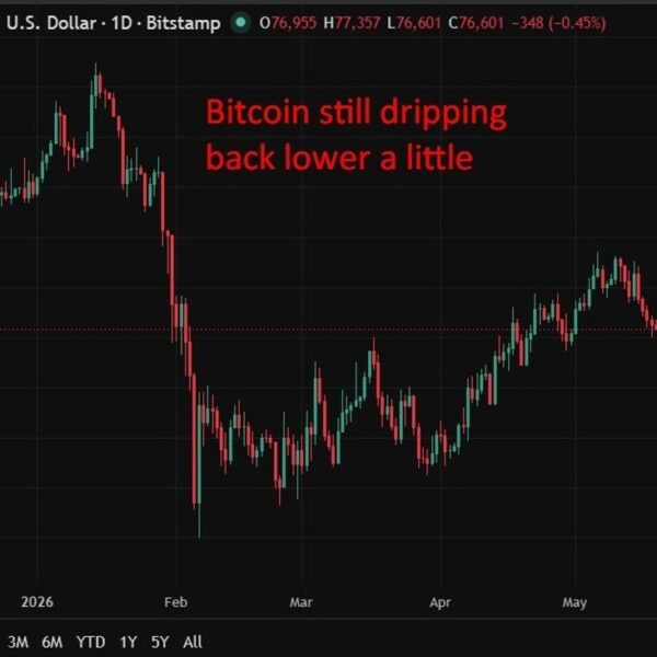 ICYMI – Iran launches Bitcoin-backed ship insurance coverage scheme for Strait of&hellip;