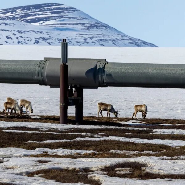 Alaska’s oil revival sparks a brand new power rush Into the Arctic