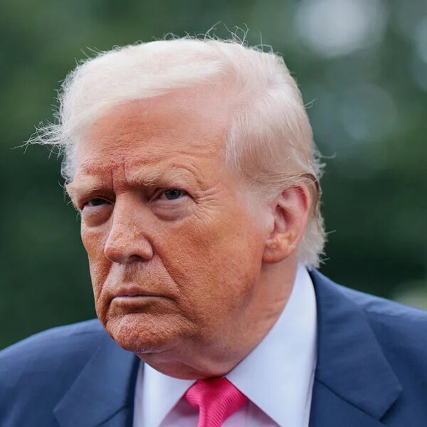Trump delays AI safety govt order: ‘I don’t wish to get in&hellip;
