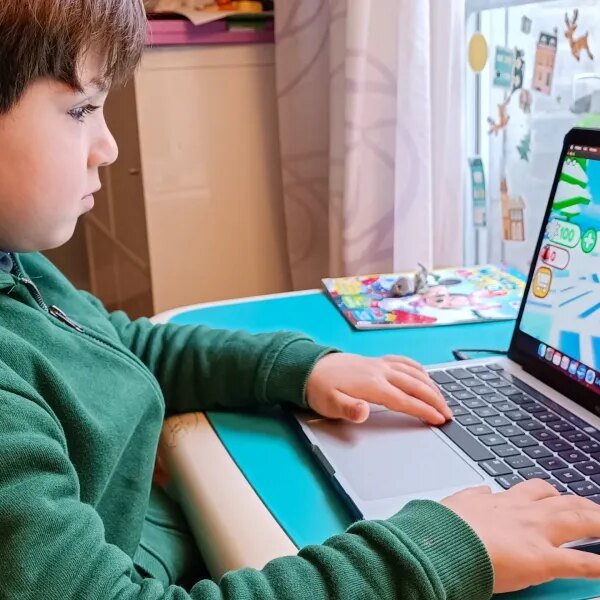Exclusive: Advocacy teams file criticism towards Roblox, alleging its design places youngsters…