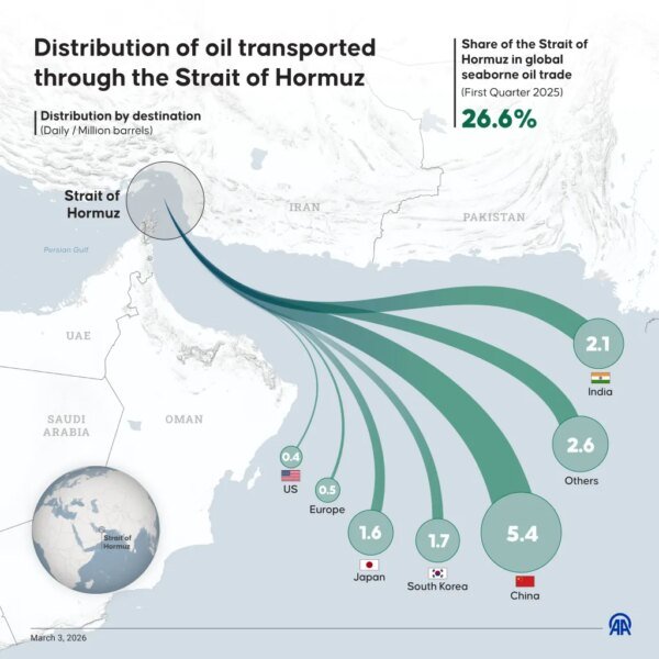 The Iran struggle has turned the world’s transport straits right into a…