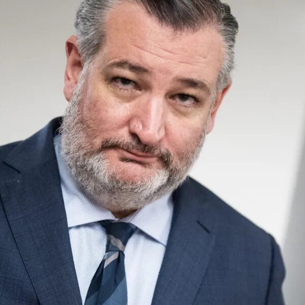 Ted Cruz says Trump accounts are Social Security private accounts, revealing ‘soiled&hellip;