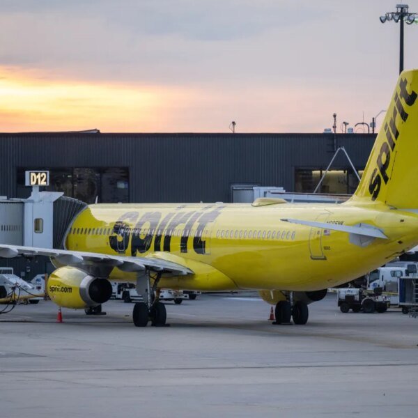 We’ll take it: a TikToker rallies pledges to purchase Spirit Airlines after&hellip;