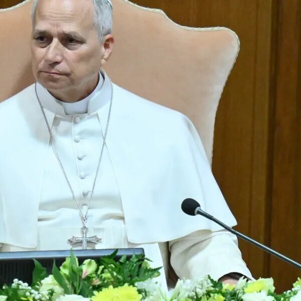 Critics say Pope Leo’s ‘AI encyclical’ fails to grapple with AI’s actual…