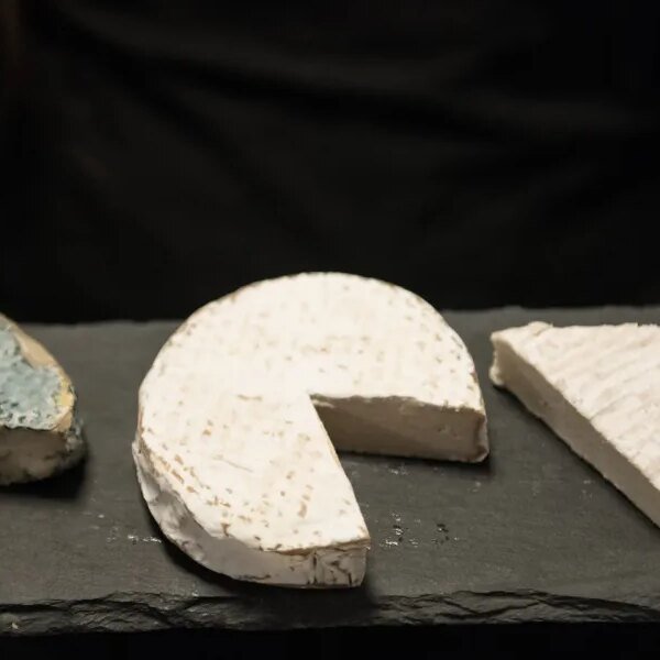 A Mark Cuban-backed vegan cheese agency educated AI to scrutinize cardboard packing…