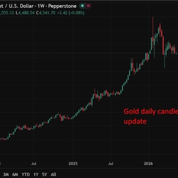 JP Morgan maintains $6,000 gold goal as 2H26 demand seen choosing up&hellip;