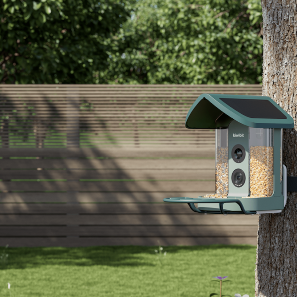 Kiwibit’s AI-powered hen feeder is my new yard buddy