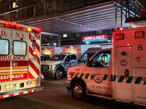 NYC Health and Hospitals says hackers stole medical knowledge and fingerprints throughout breach affecting at the very least 1.8 million folks