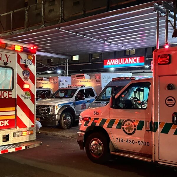 NYC Health and Hospitals says hackers stole medical knowledge and fingerprints throughout&hellip;