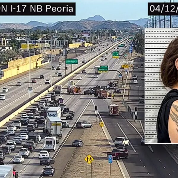 ICE arrests unlawful immigrant mother in Arizona crash that killed daughter
