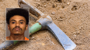 California man sentenced for pickaxe homicide of disabled teen brother