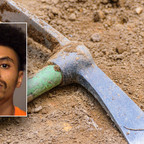 California man sentenced for pickaxe homicide of disabled teen brother