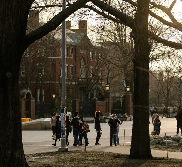 Research Funding Slows Again for Universities Targeted by White House