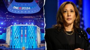 NYT columnist blasts DNC 2024 election post-mortem report as a ‘catastrophe’