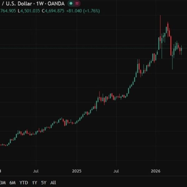 Morgan Stanley sees gold at $5,200 (Central financial institution buys, Fed cuts),…