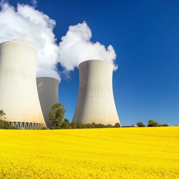 NUKZ: Nuclear Stocks Consolidating As The AI Revolution Rolls On (NYSEARCA:NUKZ)
