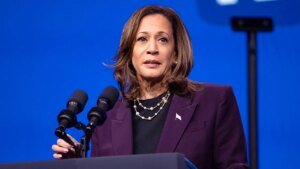 Former Democratic megadonor says occasion’s election post-mortem misses the mark