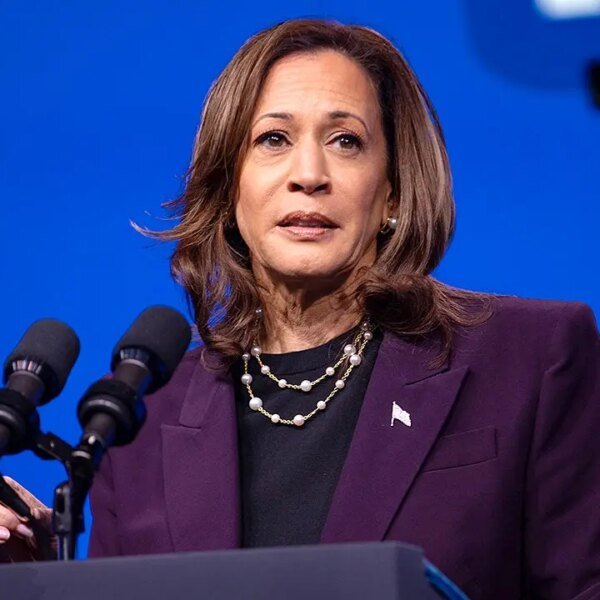 Former Democratic megadonor says occasion’s election post-mortem misses the mark