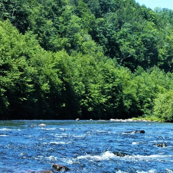 12-year-old boy drowns throughout college rafting journey in Pocono Mountains