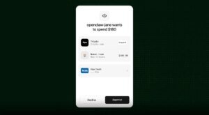 Stripe introduces Link, a digital pockets that autonomous AI brokers can use, too