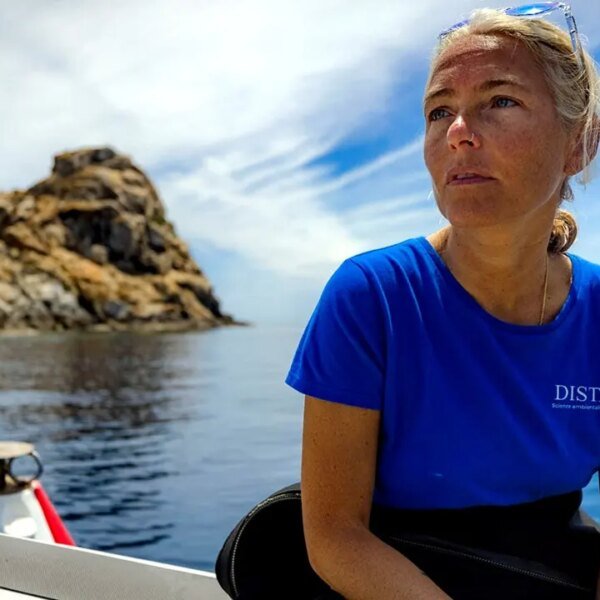 Rescuers find 4 Italian divers’ our bodies in Maldives underwater cave system