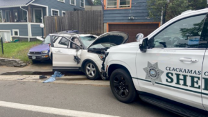 Oregon housebreaking suspect crashes SUV throughout police chase, taken into custody