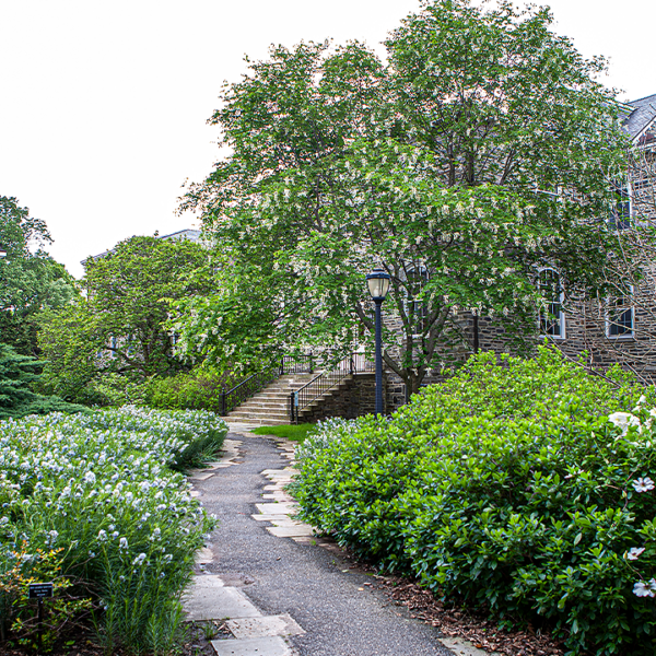 Swarthmore College removes professor’s title over burial web site scandal