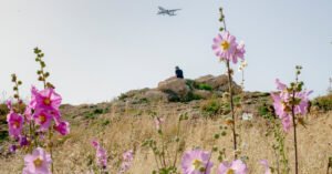 Opinion | I Went to Lebanon and Found Something Strangely Hopeful