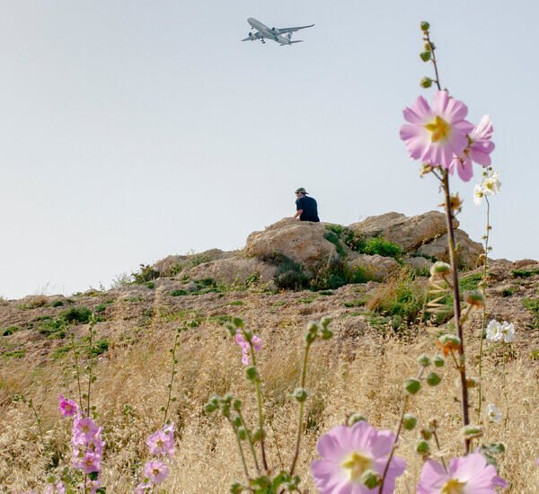 Opinion | I Went to Lebanon and Found Something Strangely Hopeful