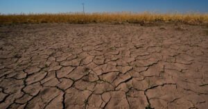 NOAA Issues El Nino Advisory