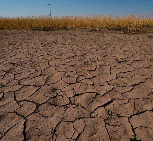 NOAA Issues El Nino Advisory