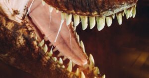 Opinion | It’s Godzilla vs. T. Rex Out There All Over America