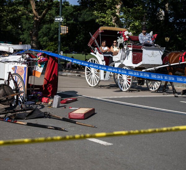 Man Fatally Injured in Fall From Horse Carriage in Central Park