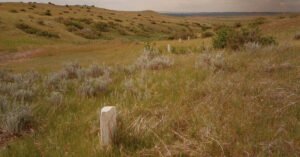 For Heirs of Custer and Sitting Bull, a 150-Year-Old Battle Is Personal