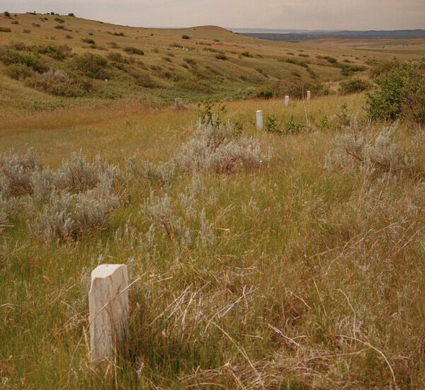 For Heirs of Custer and Sitting Bull, a 150-Year-Old Battle Is Personal