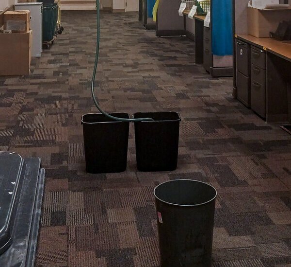 Rats, Leaks and Broken Elevators: Repair Backlog Plagues Federal Buildings