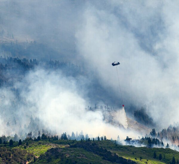 Three Firefighters Die as Wildfires Ravage Utah and Colorado