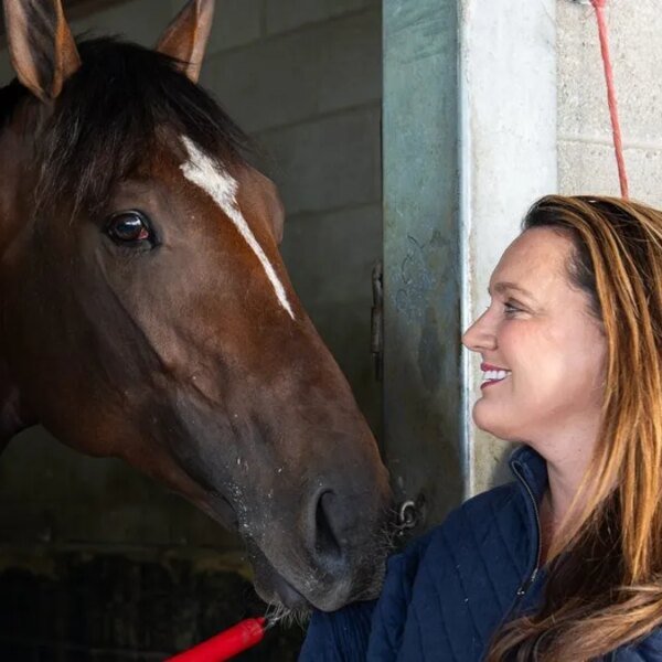 Golden Tempo, Renegade headline robust area for displaced Belmont Stakes