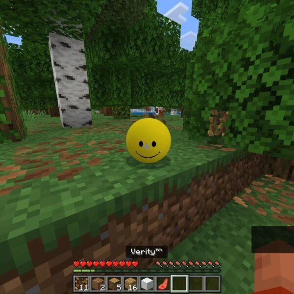 Verity mod for Minecraft Bedrock: Features, learn how to play, and and…