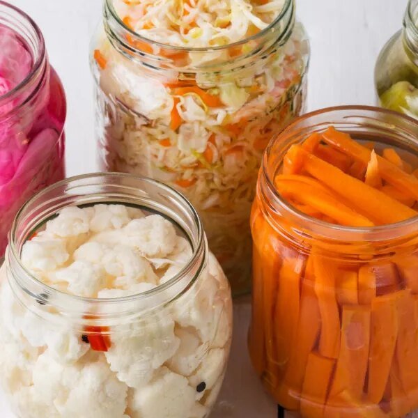 Probiotics and prebiotics are important for intestine well being. Here’s how one&hellip;